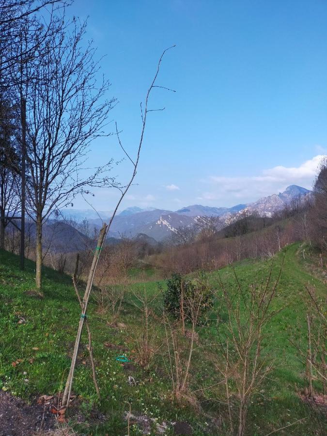 Chalet Simonetta - Locanda Da Tullio Capovalle Esterno foto